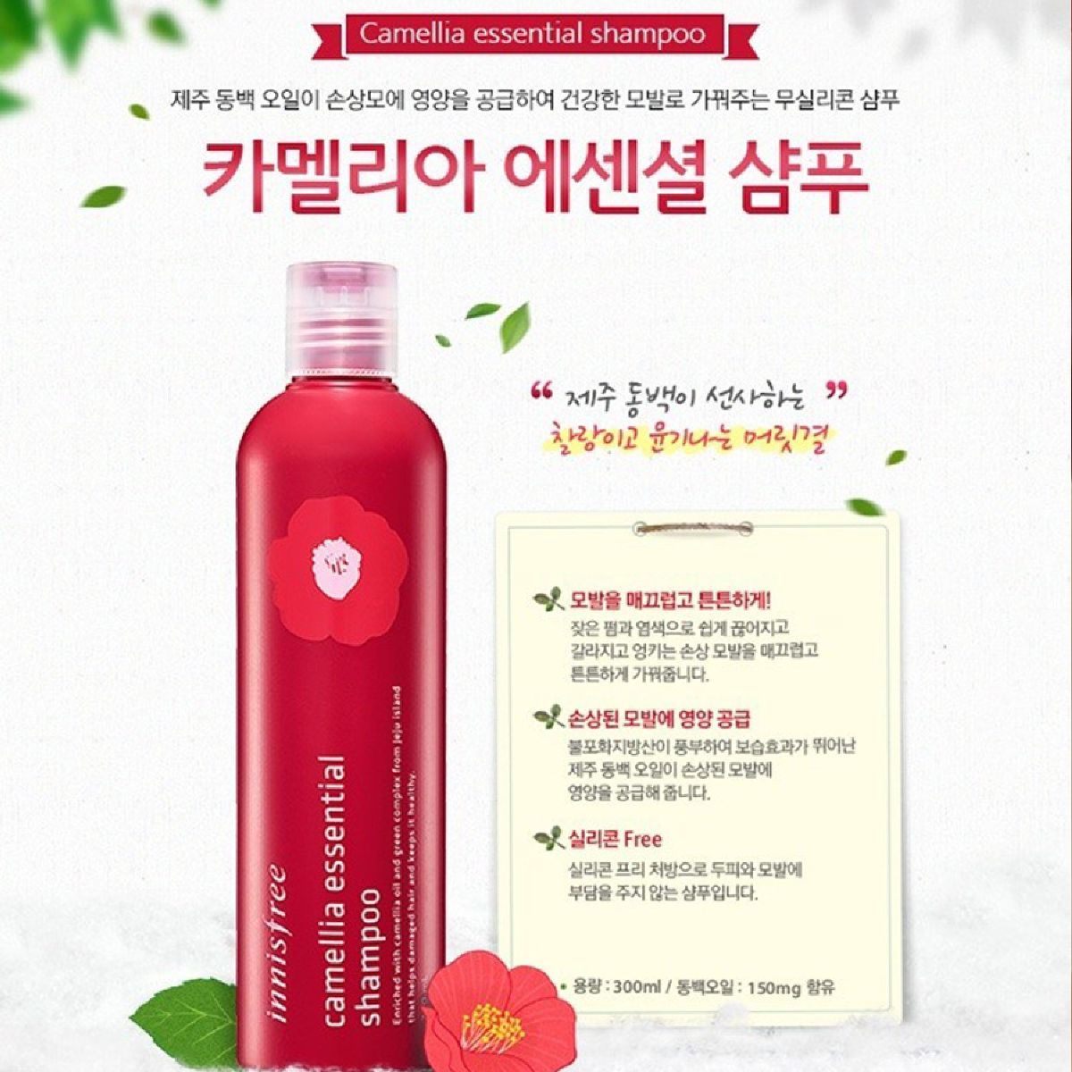 Dầu gội đầu Innisfree Camellia Essential Shampoo 300mL